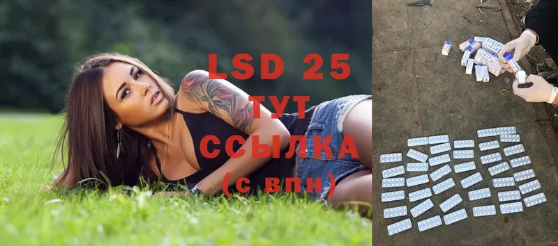 darknet телеграм  Глазов  Лсд 25 экстази ecstasy 